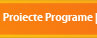 Proiecte Programe